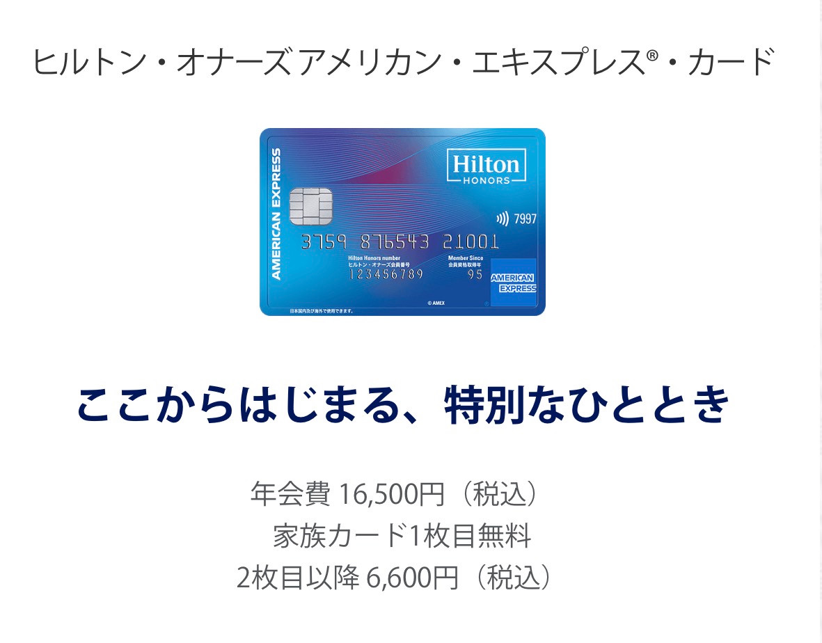 一般カードの券面と年会費16,500円の紹介