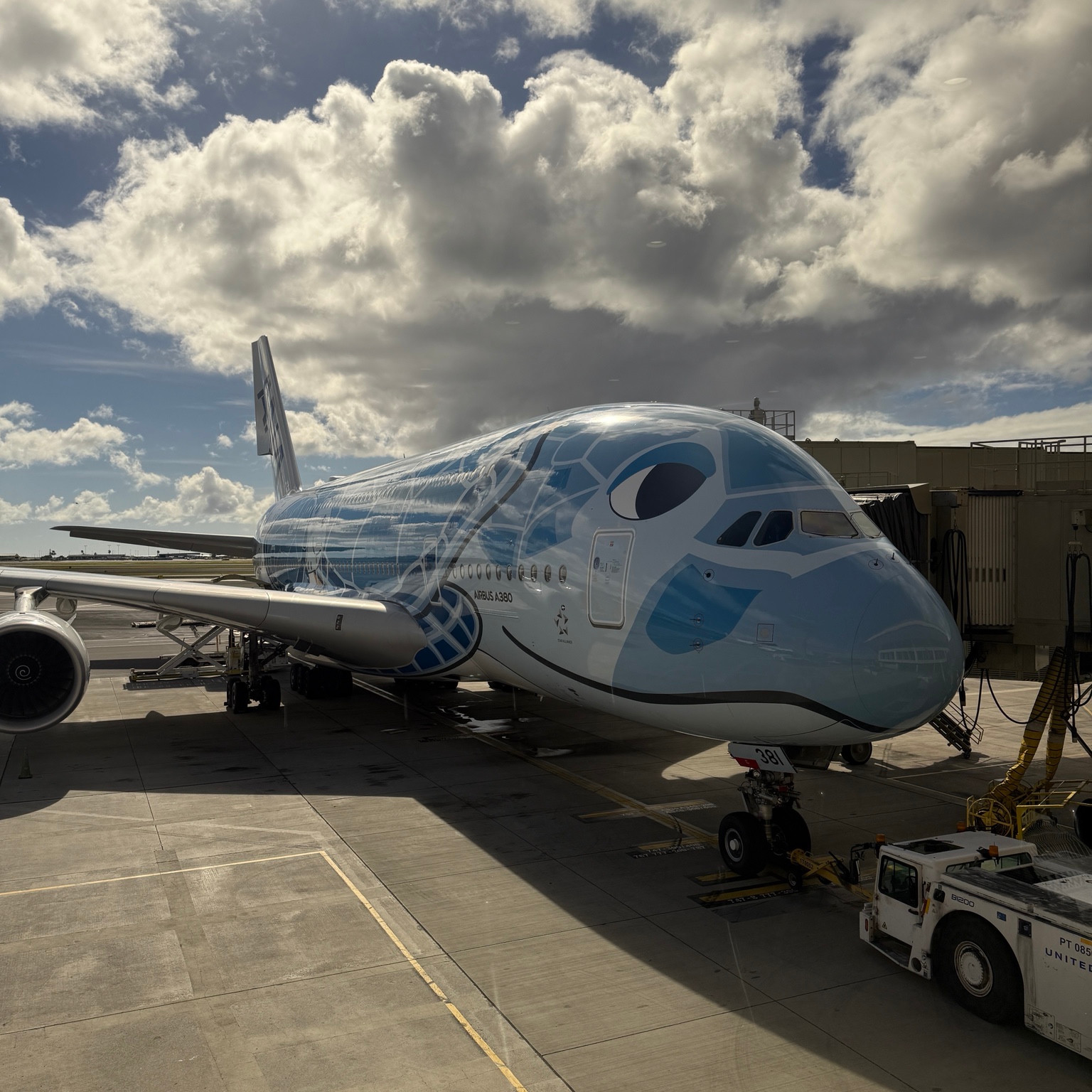 フライングホヌの機体外観